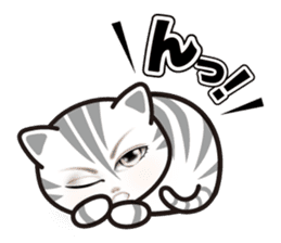 good-looking cat nya sticker #14690539