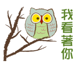 cut owl sticker #14693231