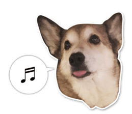 Horgi Hugh sticker #14695025