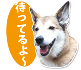 Horgi Hugh sticker #14695027