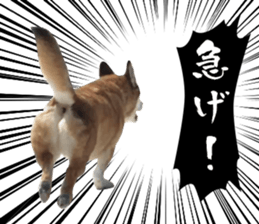 Horgi Hugh sticker #14695035