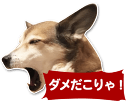 Horgi Hugh sticker #14695045