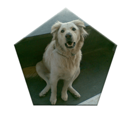 Romi Dog sticker #14695062