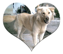 Romi Dog sticker #14695065