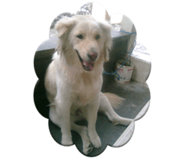 Romi Dog sticker #14695068