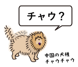 Question of guess sticker #14695613