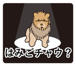 Question of guess sticker #14695632