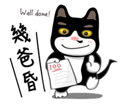 aiko wang & bibi cat