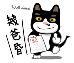Bibi cat have a runny nose. Two sticker #14697166