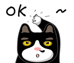 Bibi cat have a runny nose. Two sticker #14697167