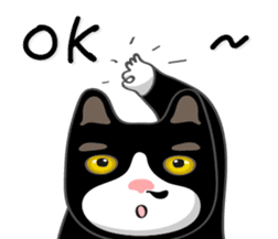 Bibi cat have a runny nose. Two sticker #14697167