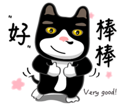 Bibi cat have a runny nose. Two sticker #14697168