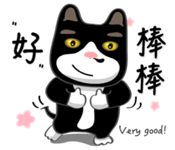 Bibi cat have a runny nose. Two sticker #14697168