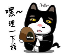 Bibi cat have a runny nose. Two sticker #14697169