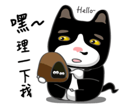Bibi cat have a runny nose. Two sticker #14697169