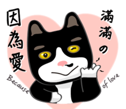 Bibi cat have a runny nose. Two sticker #14697170