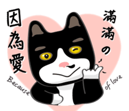 Bibi cat have a runny nose. Two sticker #14697170