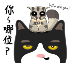 Bibi cat have a runny nose. Two sticker #14697173