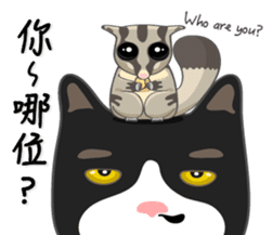 Bibi cat have a runny nose. Two sticker #14697173