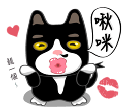 Bibi cat have a runny nose. Two sticker #14697174