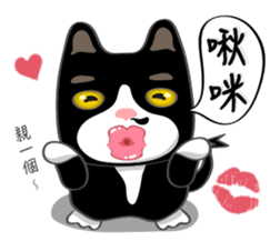 Bibi cat have a runny nose. Two sticker #14697174