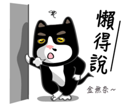 Bibi cat have a runny nose. Two sticker #14697175