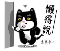 Bibi cat have a runny nose. Two sticker #14697175