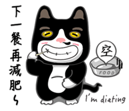 Bibi cat have a runny nose. Two sticker #14697176