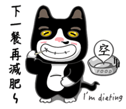 Bibi cat have a runny nose. Two sticker #14697176