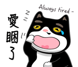 Bibi cat have a runny nose. Two sticker #14697178