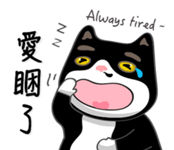 Bibi cat have a runny nose. Two sticker #14697178