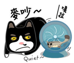 Bibi cat have a runny nose. Two sticker #14697179