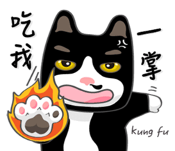 Bibi cat have a runny nose. Two sticker #14697180