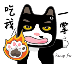 Bibi cat have a runny nose. Two sticker #14697180