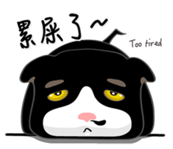 Bibi cat have a runny nose. Two sticker #14697181