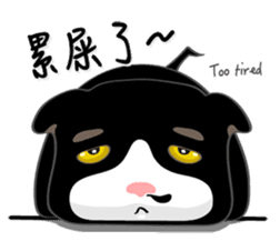 Bibi cat have a runny nose. Two sticker #14697181