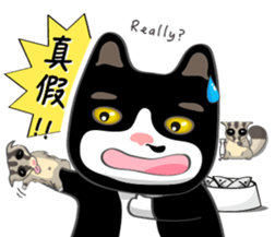 Bibi cat have a runny nose. Two sticker #14697183