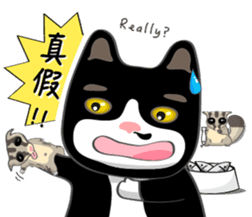 Bibi cat have a runny nose. Two sticker #14697183