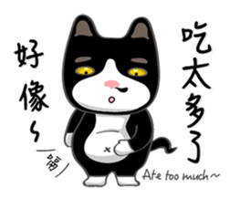 Bibi cat have a runny nose. Two sticker #14697184