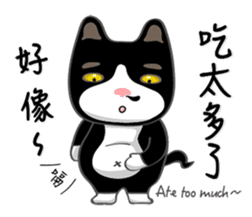 Bibi cat have a runny nose. Two sticker #14697184