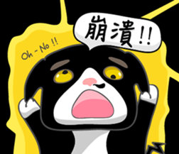 Bibi cat have a runny nose. Two sticker #14697185
