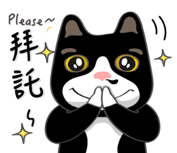 Bibi cat have a runny nose. Two sticker #14697186