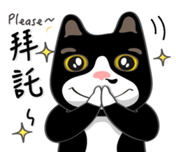 Bibi cat have a runny nose. Two sticker #14697186
