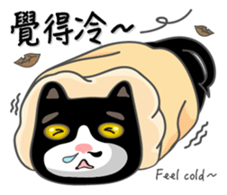 Bibi cat have a runny nose. Two sticker #14697187