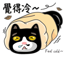 Bibi cat have a runny nose. Two sticker #14697187