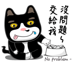 Bibi cat have a runny nose. Two sticker #14697190
