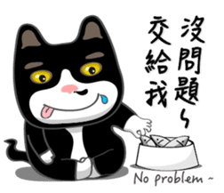 Bibi cat have a runny nose. Two sticker #14697190