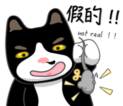 Bibi cat have a runny nose. Two sticker #14697191