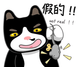 Bibi cat have a runny nose. Two sticker #14697191