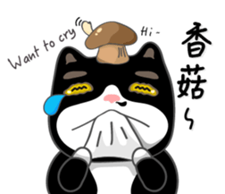 Bibi cat have a runny nose. Two sticker #14697192